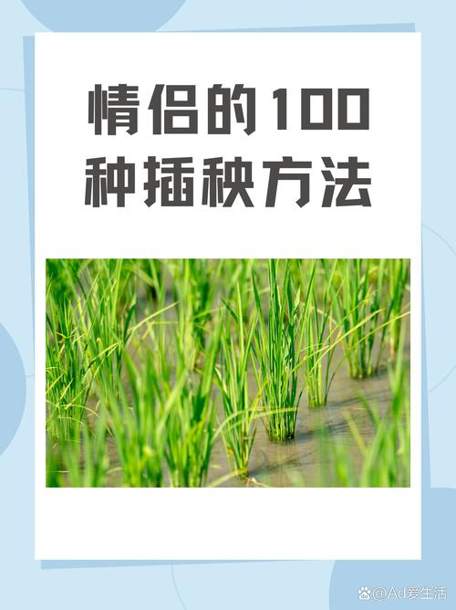 夫妻插秧38種方法