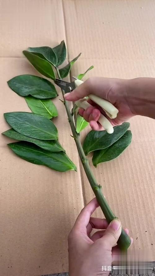 女性坐著扦**b有什么好處