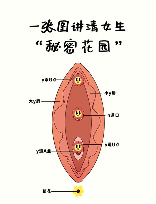 小秘秘戳進秘無遮擋