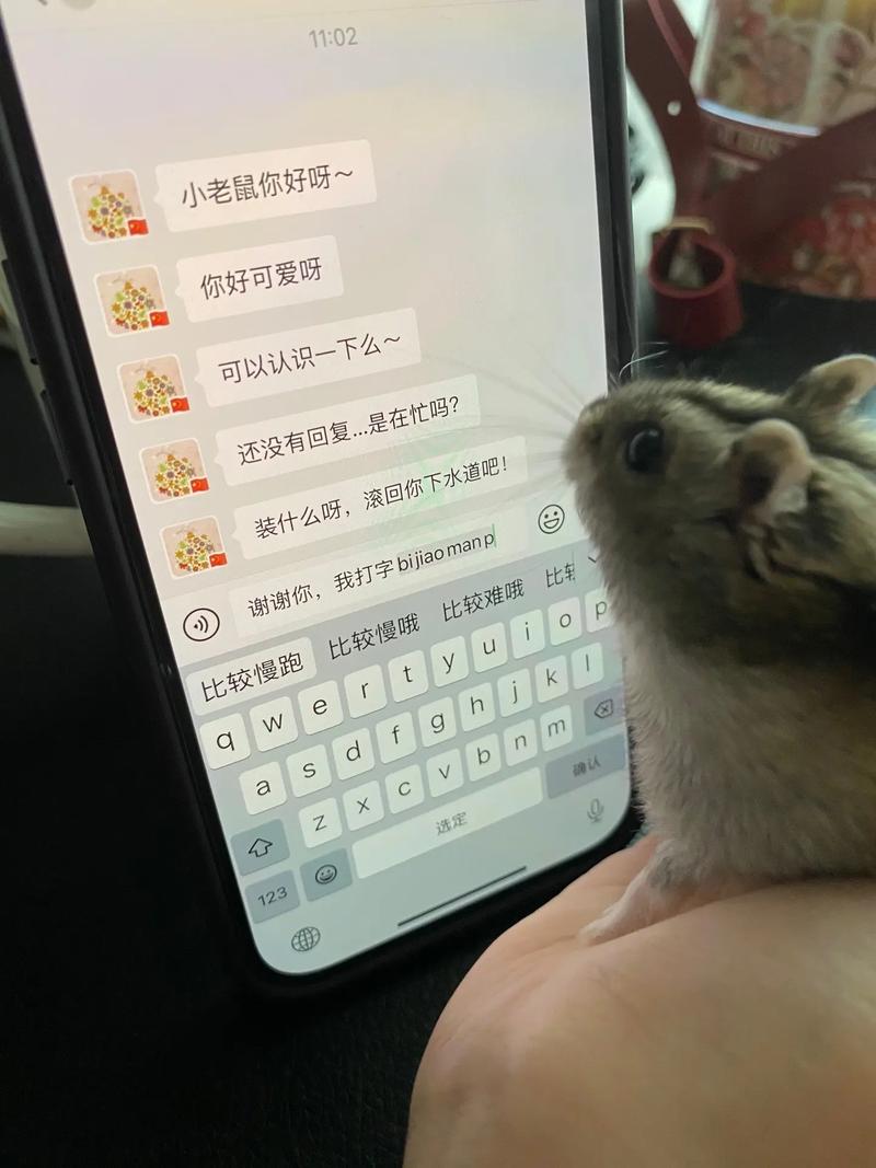 兒子就是用來cha的倉鼠