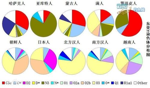 亞洲人與歐洲人染色體的區(qū)別