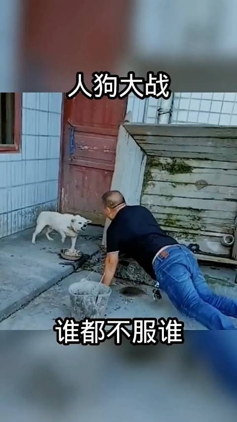 人狗大戰(zhàn)2中文版