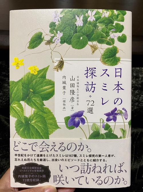 野花高清中文免費日本精品版