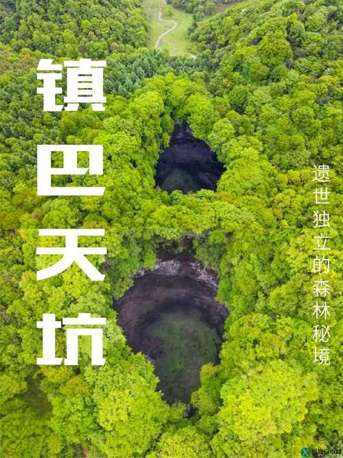 大地資源三在線觀看8