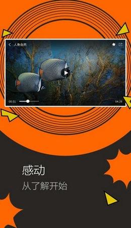 魷魚b25777直接進(jìn)入