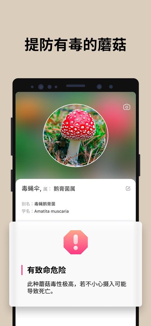 安全蘑菇app