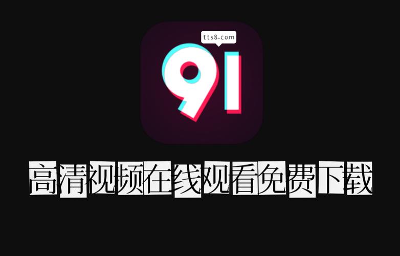 91破解版安裝