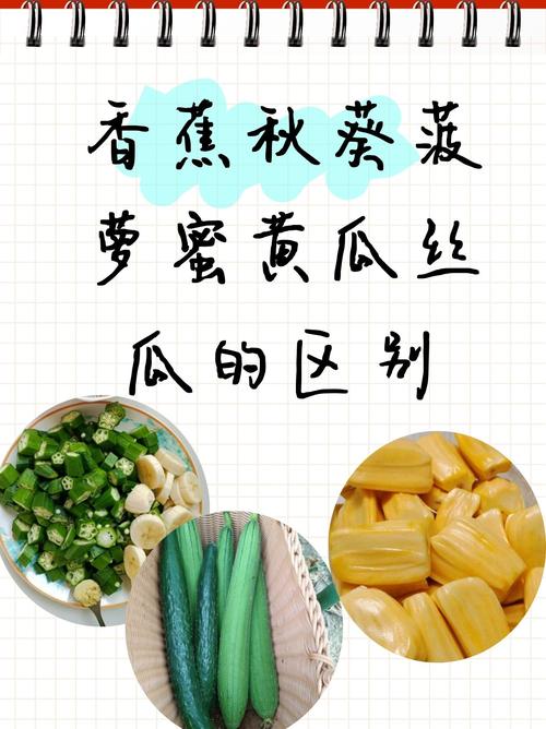 香蕉榴蓮絲瓜草莓黃瓜歌詞