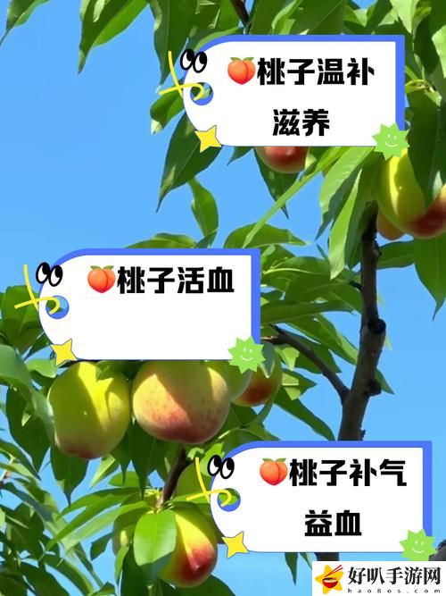 幾幾寒進(jìn)桃子里