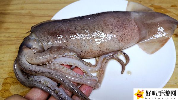 神奇海洋11月14日答案分享：稀有道具獲取分析