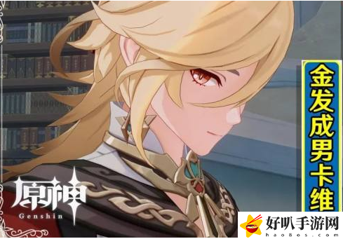 原神卡維是幾星角色 原神卡維角色介紹