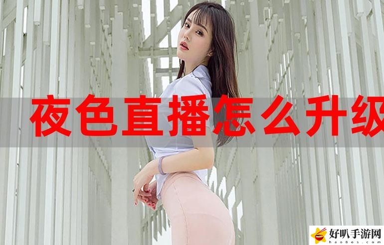 177tv夜色直播