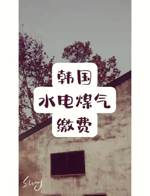 好看的韓國(guó)三色電費(fèi)