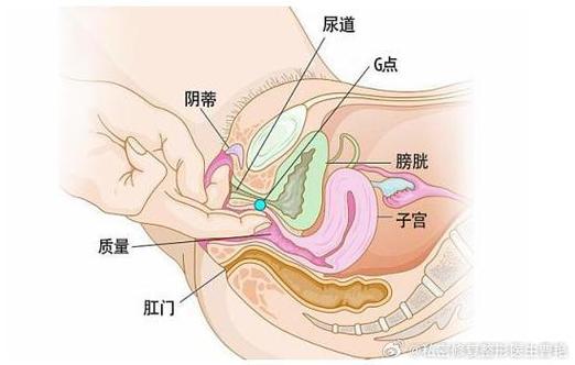 大蔭蒂BBBBBB大蔭蒂