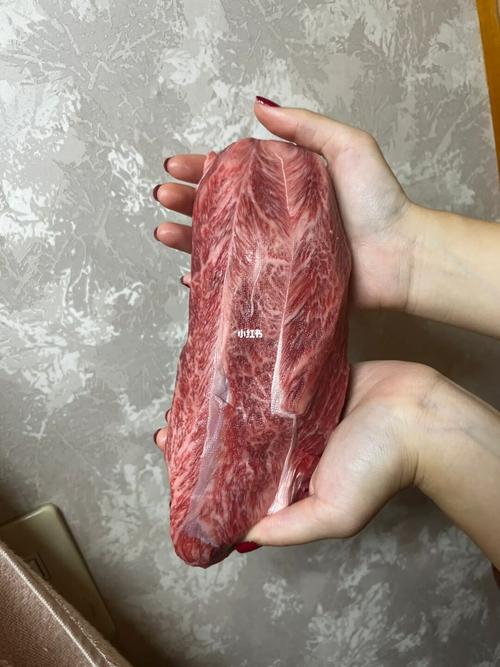 大肉大捧一進(jìn)一出的視頻