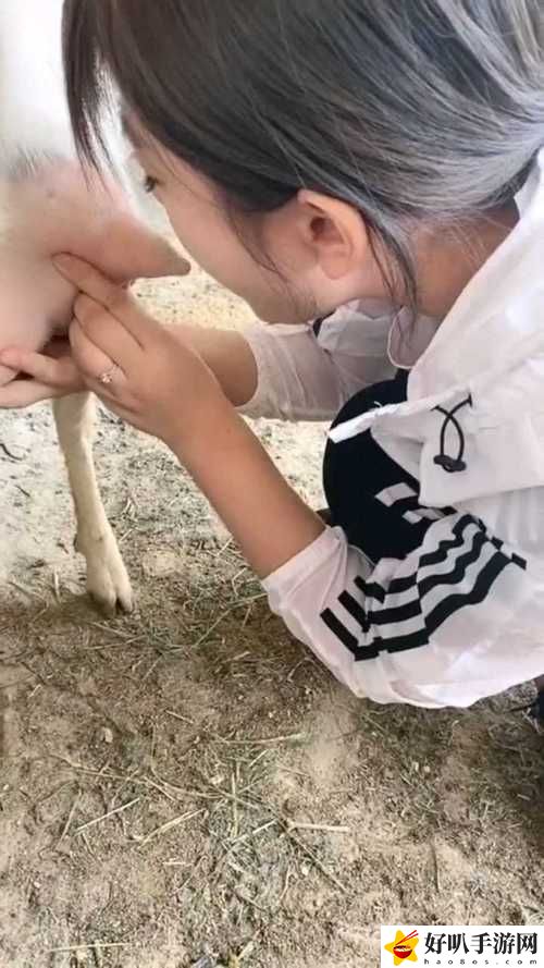 人玩山羊水門的視頻