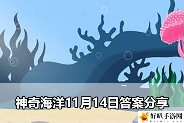 神奇海洋11月14日答案分享：稀有道具獲取分析