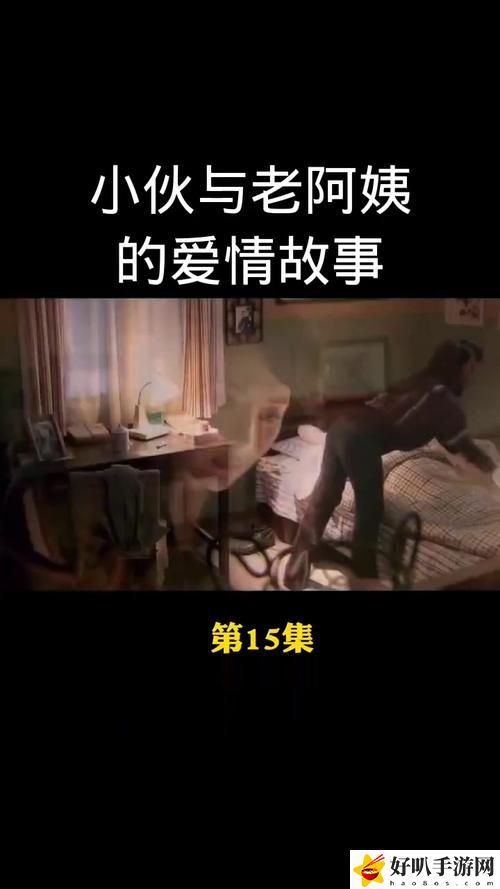 暴躁老阿姨老***成就與榮譽(yù)