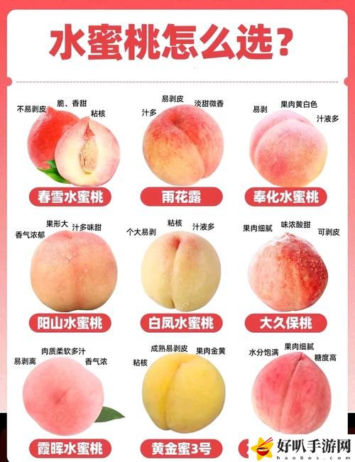 蜜桃國精產(chǎn)品二三三區(qū)