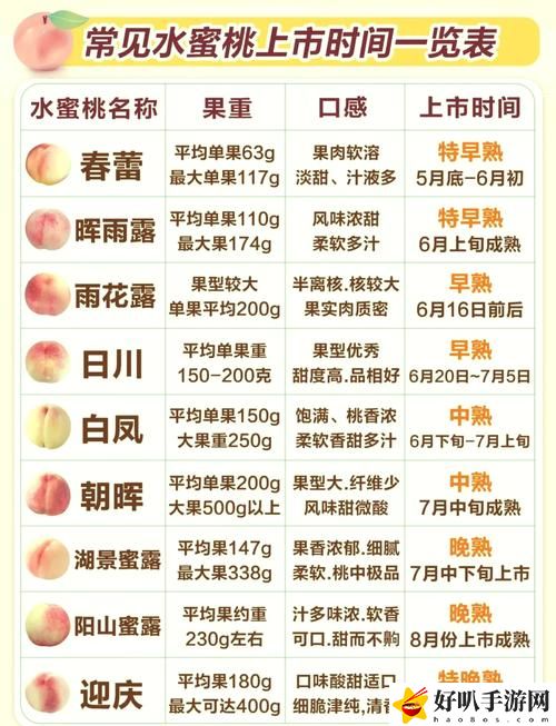 蜜桃精產(chǎn)品二三三區(qū)